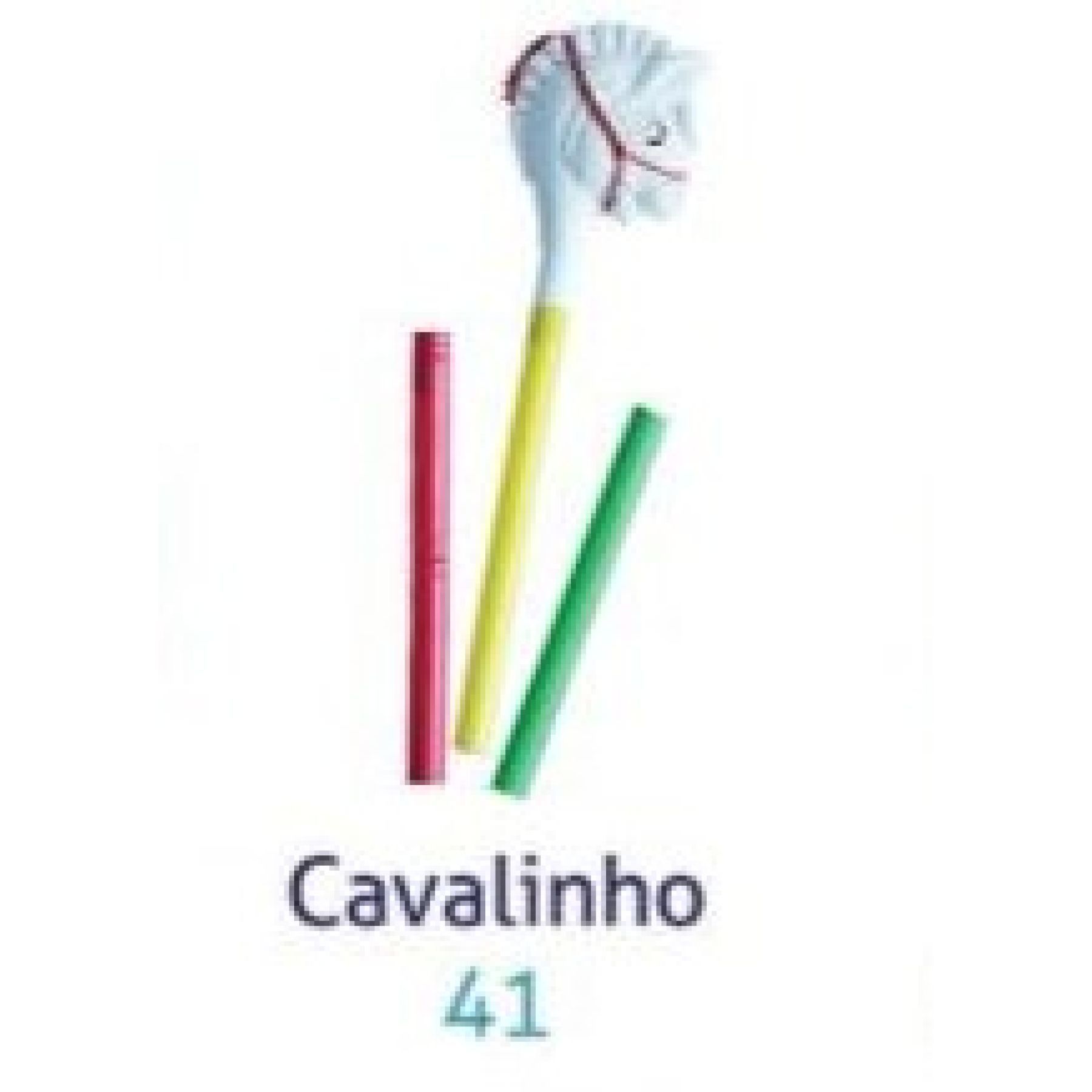 CAVALINHO